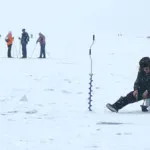 Cum să păstrați viermi în timpul iernii (iarna) Cum să păstrați viermi în timpul iernii