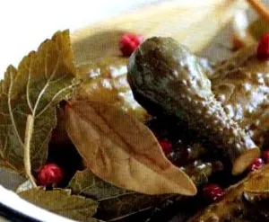 Cum se murarea castraveți, astfel încât acestea au fost crocante sute de sfaturi (sare) Cum se murarea castraveți, astfel încât acestea au fost crocante sute de sfaturi