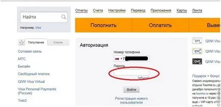 Cum de a crea un portofel electronic în WebMoney, ah Qiwi și cum să aibă un cont de plată electronică (a crea) Cum de a crea un portofel electronic în WebMoney, ah Qiwi și cum să aibă un cont de plată electronică