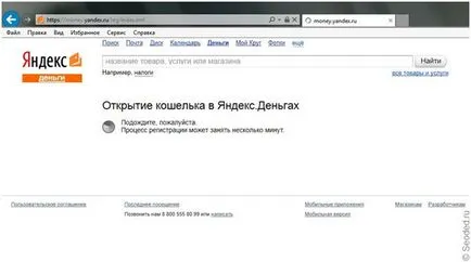 Cum de a crea un portofel electronic în WebMoney, ah Qiwi și cum să aibă un cont de plată electronică (a crea) Cum de a crea un portofel electronic în WebMoney, ah Qiwi și cum să aibă un cont de plată electronică