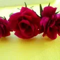 Lily din carton ondulat