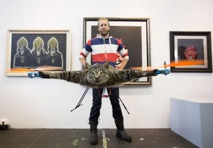 Flying pisica cu un motor - oroarea de la Amsterdam - știri în imagini () Flying pisica cu un motor - oroarea de la Amsterdam - știri în imagini