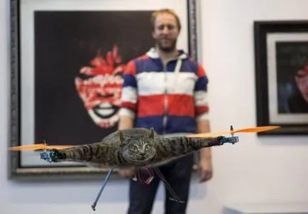 Flying pisica cu un motor - oroarea de la Amsterdam - știri în imagini () Flying pisica cu un motor - oroarea de la Amsterdam - știri în imagini