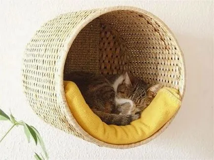 Paturi pentru pisici, ca parte a ideilor de design interior