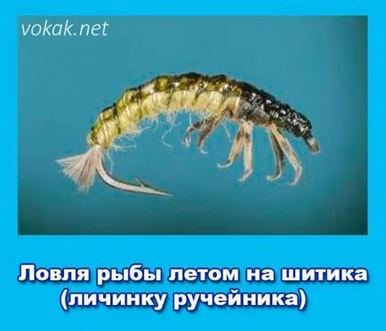 Pescuitul în vara pe Shitikov (Caddis larvă) - pescuitul în iarna și vara pe tors și momeală în rechke (utilizate) Pescuitul în vara pe Shitikov (Caddis larvă) - pescuitul în iarna și vara pe tors și momeală în rechke