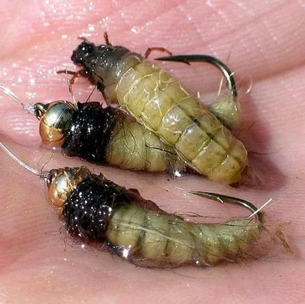 descriere Caddis Larva, habitat și reproducere