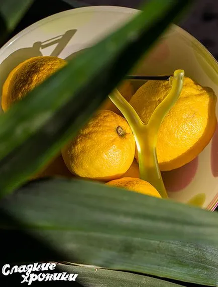 Lemon curd adevărat numai pas cu pas fotografii reteta (lamaie) numai Lemon curd adevărat pas cu pas fotografii reteta
