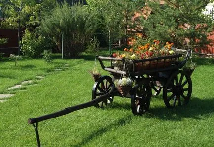 Cele mai bune idei pentru grădină, cu o descriere și fotografie