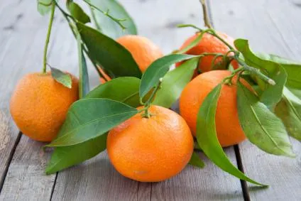 Mandarin decât util oasele corpului mandarina proprietăți utile