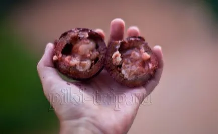 Mangosteen - cum este, sirop de mangostan, utilitate și foto comentarii
