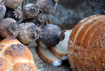Mack - beneficii si Harms, domeniul de aplicare la domiciliu (utilizare) Mack - beneficii si Harms, domeniul de aplicare la domiciliu