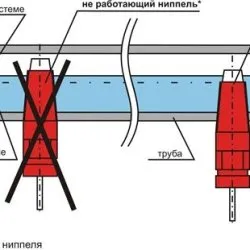 Master-classe privind fabricarea de alimentare și de băut pentru prepelițe propriile mâini