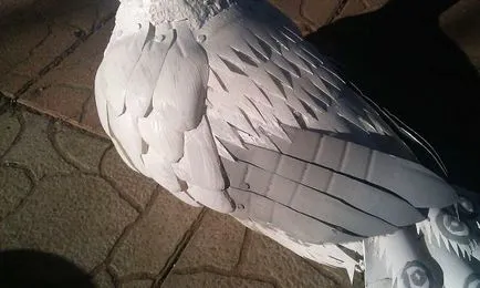 Master class - o grădină păun de sticle de plastic - decora viața cu propriile sale mâini - la punctul de colectare