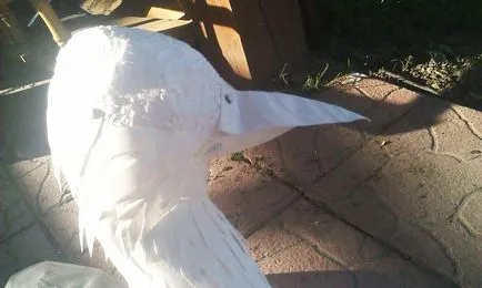 Master class - o grădină păun de sticle de plastic - decora viața cu propriile sale mâini - la punctul de colectare