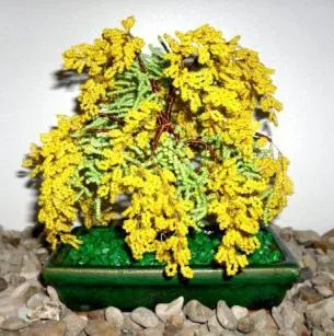 atelier de talon Mimosa pe țesut