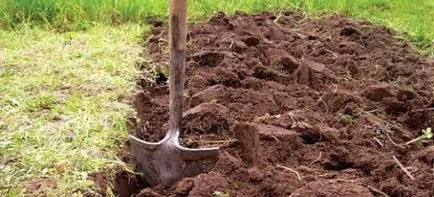 sulfat de cupru este folosit în grădinărit primăvara și toamna