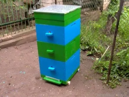 producția de mâini cu mai multe corpuri Hive proprii lor, desene, video
