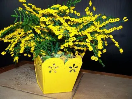 atelier de talon Mimosa pe țesut
