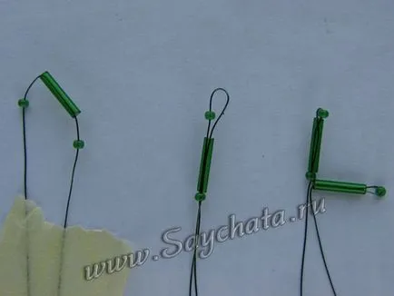 Mimosa șirag de mărgele - șirag de mărgele de hack