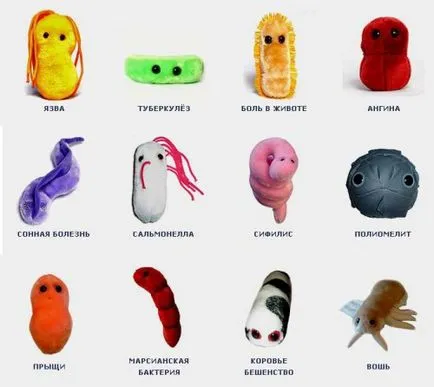 Microbii sub microscop pentru imagini și clipuri video pentru copii