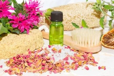 Monarda proprietăți utile și terapeutice, daune, ulei, plantare și îngrijire