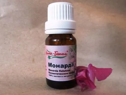 Monarda proprietăți utile și terapeutice, daune, ulei, plantare și îngrijire