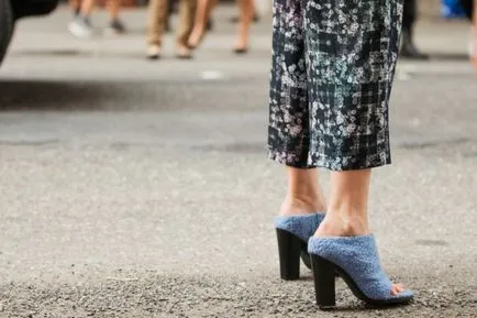 Catâri, saboți și bunica sunt investigate în numele de pantofi la modă, femmie