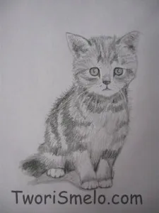 Desenați un pisoi treptat, creativitate - asta e viața!