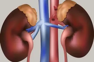 Tratamentul de adrenals remedii populare la domiciliu