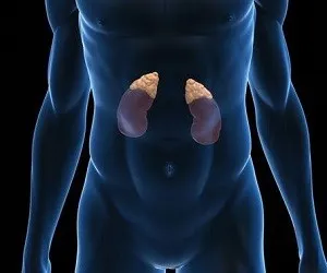 Tratamentul de adrenals remedii populare la domiciliu