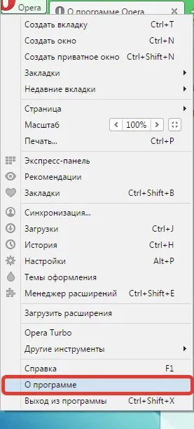Nu s-a putut încărca plug-in opera - ce să facă