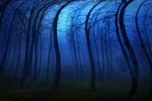 Câteva sfaturi despre cum să corect scape de oglinzi, mediumuri (mai mult) Câteva sfaturi despre cum să obțineți în mod corespunzător scăpa de oglinzi, Psychics