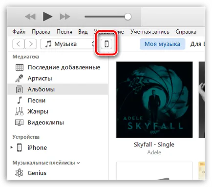 Nici o filă fotografie în itunes