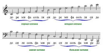 notație muzicală pentru începători note, portativ, alterare, lungimi de note, blog-ul de wellness