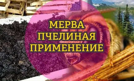 Domeniul de aplicare de albine Merwe