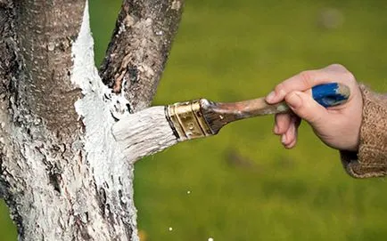 arbori de primăvară Prelucrarea de dăunători și boli cele mai eficiente medicamente (în primăvară) arbori de primăvară Prelucrarea de dăunători și boli cele mai eficiente medicamente