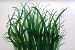 Cum de a desena etape de flori (flori) Cum de a desena o floare în etape