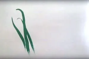 Cum de a desena flori etape (etape) Cum de a desena o floare în etape