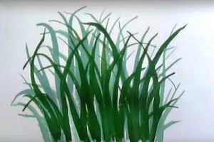 Cum de a desena etape de flori (remiză) Cum de a desena o floare în etape
