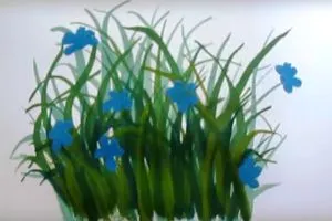 Cum de a desena etape de flori (flori) Cum de a desena o floare în etape