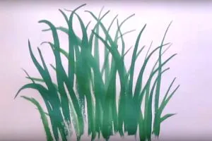 Cum de a desena etape de flori (remiză) Cum de a desena o floare în etape