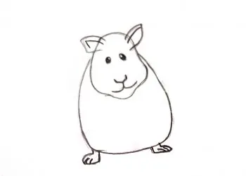Cum de a desena etape hamster creion (hamster) Cum de a desena etape creion de hamster