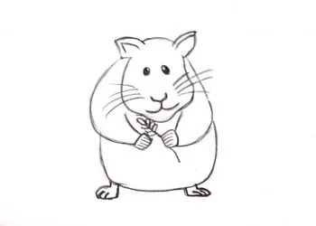 Cum de a desena etape creion de hamster (etapele creion pentru a desena un hamster) Cum de a desena etape creion de hamster