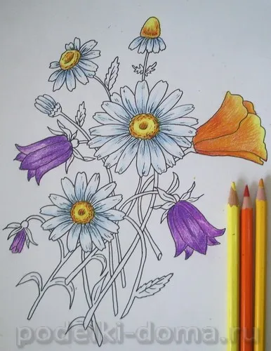 Cum de a desena un creion de flori (în etape), o cutie de idei și ateliere