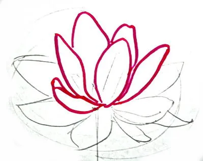 Cum să elaboreze un Lotus