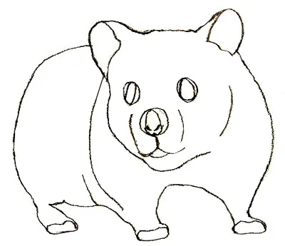 Cum de a desena un hamster, desen hamster în creion, poetapano