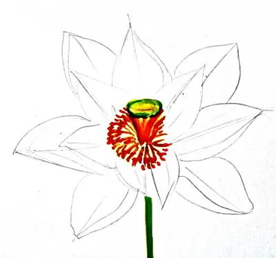 Cum să elaboreze un Lotus