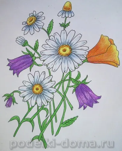 Cum de a desena un creion de flori (în etape), o cutie de idei și ateliere