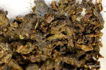 După cum insista propolis pe alcool