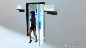Privire de ansamblu Catalog «The Sims 3 lux modern“, universul jocului Sims! (Sims 3) Privire de ansamblu Catalog «The Sims 3 lux modern“, universul jocului Sims!